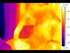 Sex in front of a thermal camera